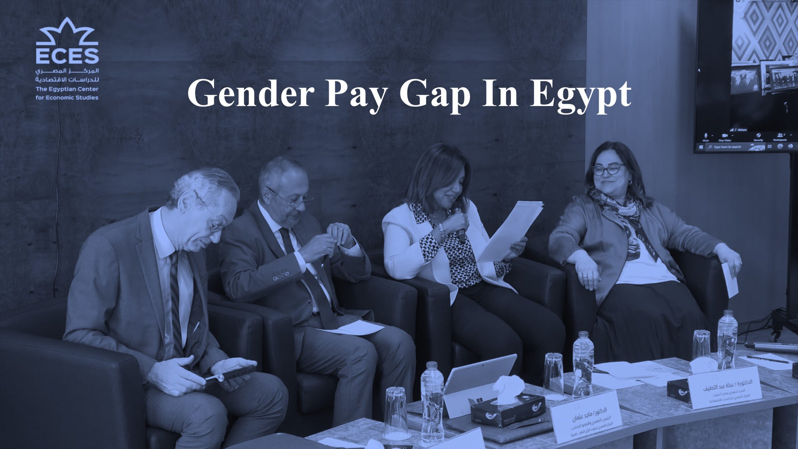 Detailed Analysis of the Gender Pay Gap in Egypt